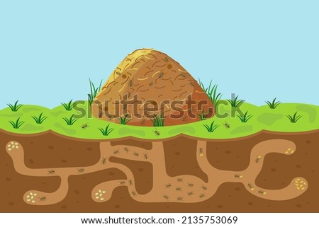 Anthill with holes and passages, sectional view underground. Vector cartoon of hill with termites outside and inside. Concept of joint organized work. Ant house.