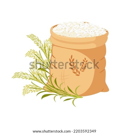 Canvas bag filled with rice groats. Grain harvest with green branches and ears.