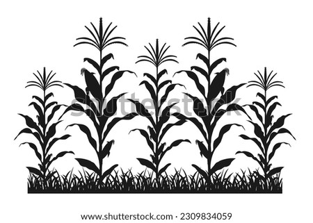 Maize field silhouette. Corn farm black vector illustration. Cultivation of crops.