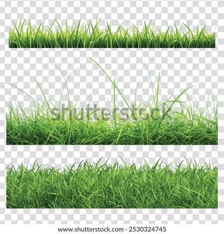 green grass isolated on transparent background