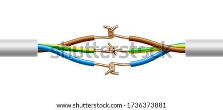 Open connection of two electric multicore cables structure. Vector realistic illustration isolated on white background.
 Imagine de stoc © 