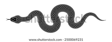 Vector elongated snake silhouette illustration. Black serpent tattoo design isolated on white background.