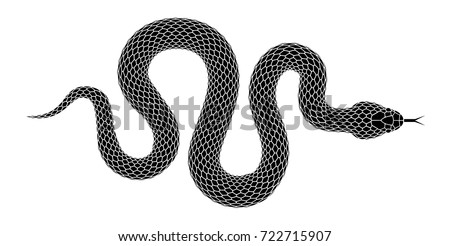 Snake silhouette illustration. Black serpent isolated on a white background. Vector tattoo design.