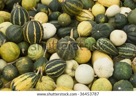 A picture of fresh  vegetables