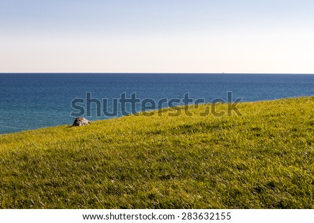 Grass field with a single rock and the sea as background.