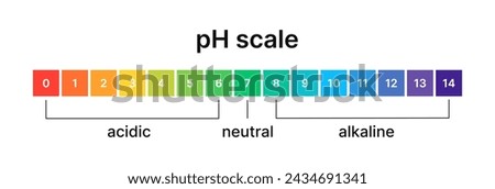 Ph level of acid and alkaline balance. Scale indicator for litmus paper test. Vector isolated infographics on white background.