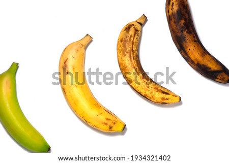 Four bananas - green underripe, ripe, very ripe and over ripe - in diagonal. Banana ripeness. Concept of life cycle, ranging from young to old. White background, isolated.