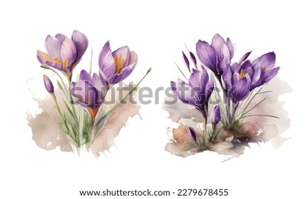 Similar – Image, Stock Photo Purple crocus flowers and dark background