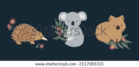 Set of 3 Australian Native Exotic Animals Wombat Koala Echidna Pink Yellow Gum leaves Eucalyptus