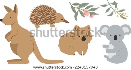 Australian Animals and Flowers Set Isolated on White Kangaroo Wallaby Wombat Echidna Koala Wattle Gum Flower