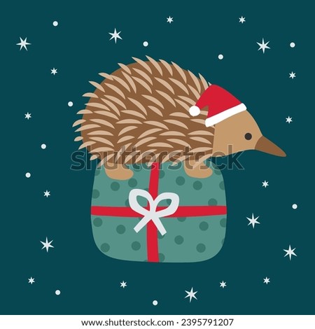 Cute Vector Echidna Hedgehog Christmas Xmas Santa Hat Present Happy Joy Stars Green Red Australian Animals