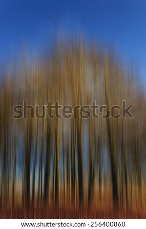 Abstract forest with motion blur, Abstract colourful background