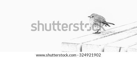 Digital pencil sketch from a photograph of a european robin bird perched on the edge of a garden bench