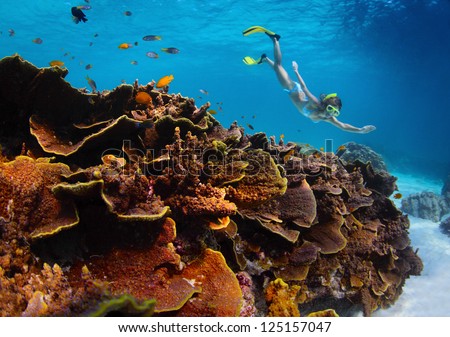Young lady snorkeling in a transparent tropical sea by vivid coral reef