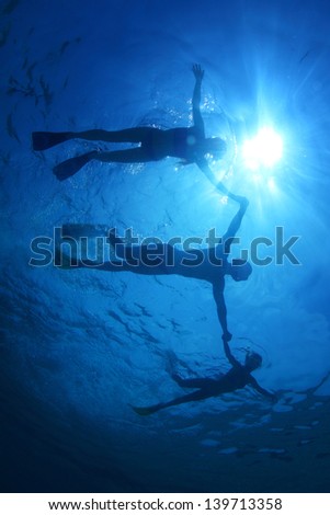 Two ladies and one man snorkeling in a tropical sea