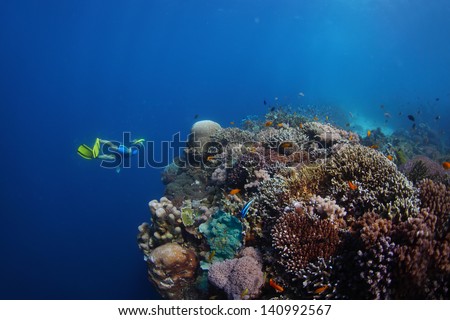 Young lady freediver exploring vivid coral reefs in a tropical sea. Philippines, Balikasag island