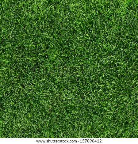 Green grass seamless texture. Seamless in only horizontal dimension. 商業照片 © 