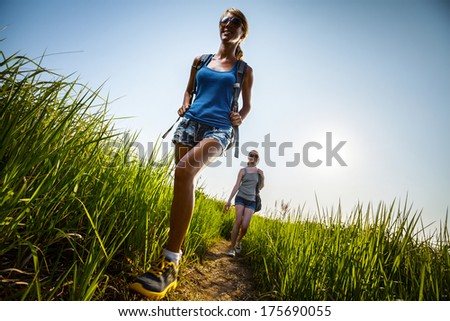 Two ladies hikers walking through green lush meadow at sunny day