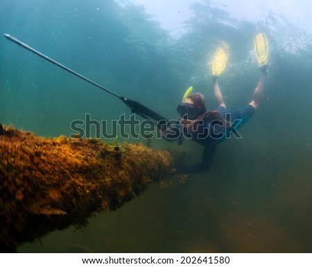 Underwater shot of the lady diving with spear gun on a breath hold