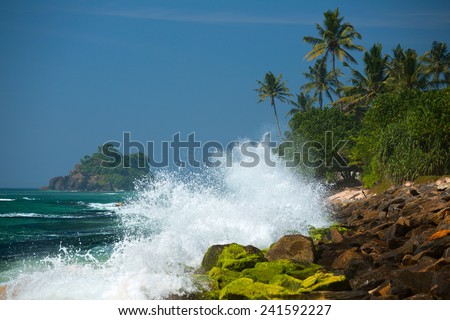 Ocean wave breaking on the rocky coast with palm trees, Sri Lanka