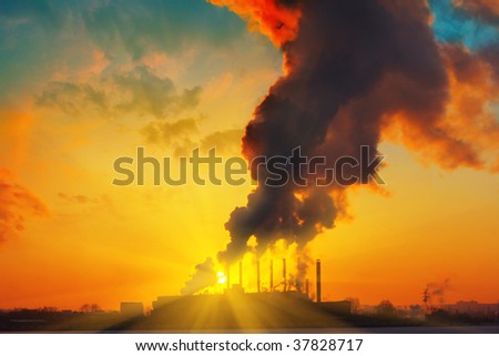 Plant with smoke under sunset light