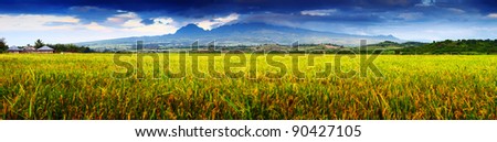Dark storm clouds over mountains and yellow ripe rice fields with small wooden buildings