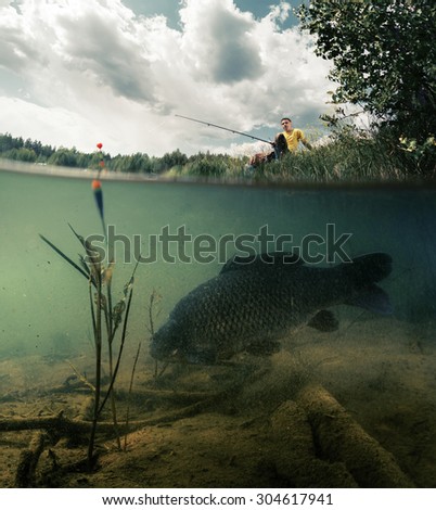 Split shot of the freshwater pond with fisherman above the surface and big fish (Carp of the family of Cyprinidae) grazing underwater over the bottom.