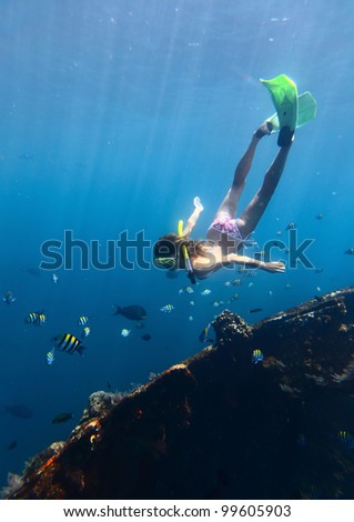 Young woman diving on a breath hold and fining in blue transparent sea near wreck Tulamben, Indonesia