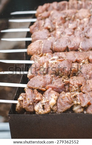 Fresh meat on outdoor grill background BBQ sticks