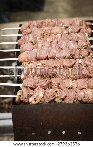Fresh meat on outdoor grill background BBQ sticks