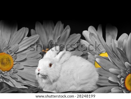 Bunny surround by daisies in a black and white print with bits of colors showing through