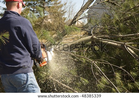 Man cutting up fallen tree with chainsaw