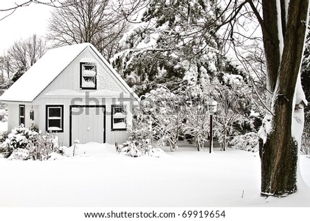 Images of snow covered trees in a backyard after large winter snow storm
