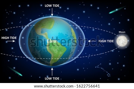 Low and high tides caused by the Moon, vector education diagram. Space exploration, geography, physics and astronomy science infographic template.