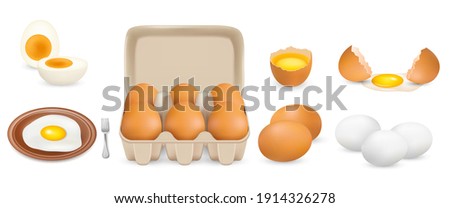 Raw, hard boiled, fried chicken eggs, vector isolated illustration. Whole and broken white and yellow fresh raw eggs. Yolk, albumen, eggshell, open consumer carton pack mockup. Poultry farming.