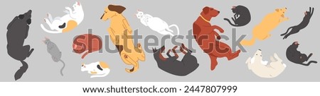 Cute sleeping pets top view set with cats and dogs lying in different pose vector illustration isolated on white background. Relaxed domestic animals, lazy puppy and kitten cartoon characters