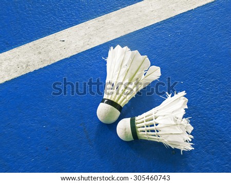 Shuttlecocks for play badminton on blue floor of court