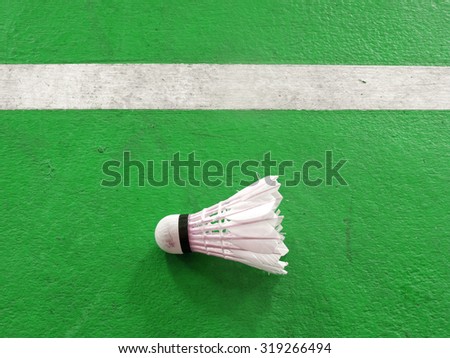 Shuttlecock for play badminton on green floor of court