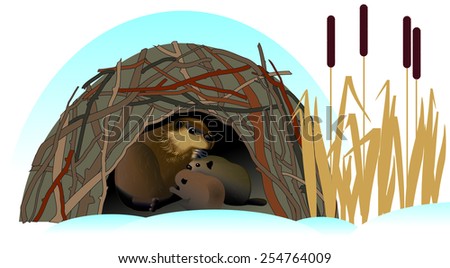 Cartoon picture of mother beaver with two babies in their beaver hut covered with snow with dried canes.