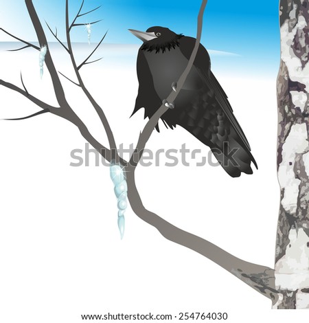 Cartoon rook sitting on a birch tree with icicles shining in the sun.