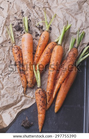 A bunch of freshly dug organic carrots in the vintage white napkin, black background