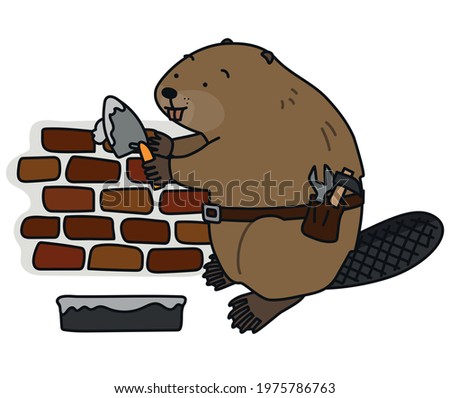 Hardworking beaver making brick walls