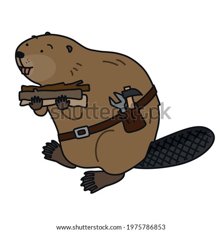 Hardworking beaver carrying tree branches with both hands