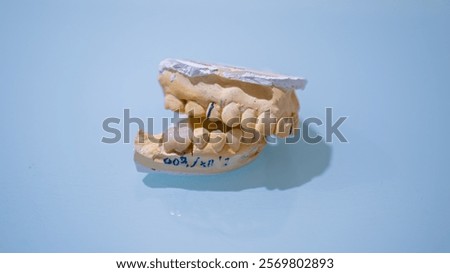 Similar – Image, Stock Photo Dental cast in modern laboratory