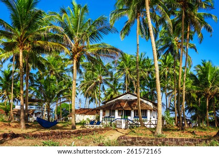 Little house surrounded by palm trees. India, Goa
