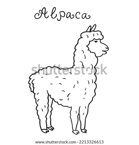 Cute friendly alpaca. Outline vector hand drawn illustration. 