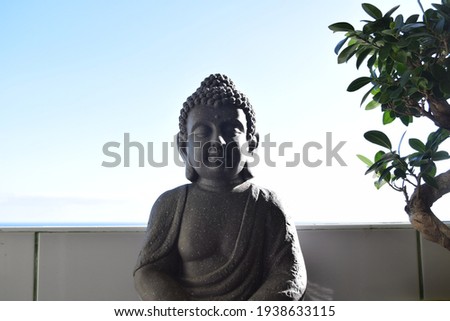 Gray Buddha statue next to a bonsai tree with the Mediterranean sea in the background Foto d'archivio © 
