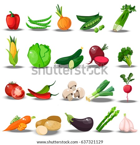 Very high quality original trendy vector set with fresh healthy vegetables. Summer agriculture design. paprika, celery, broccoli, corn, cabbage, cucumber, beet, beans peas pepper