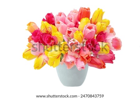 Similar – Image, Stock Photo daffodils Ostrich