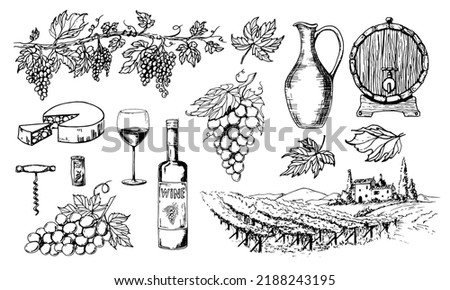 Glass Wine bottle and vine bunches. Tuscany landscape with vineyard. Hand drawn Sketch for label or bar menu. Vintage drawing of grape and oak wooden barrel. Vector illustration in engrave style